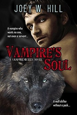 Vampire’s Soul (Vampire Queen 14)